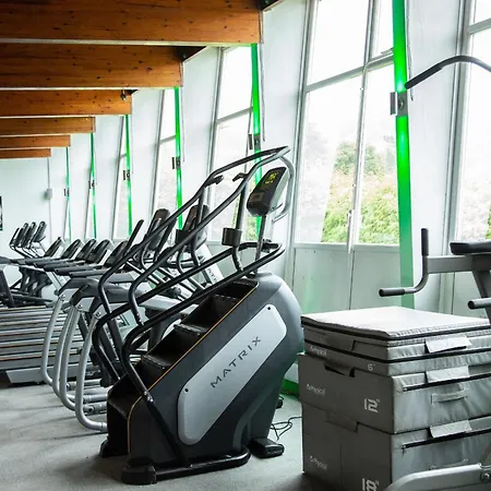 Grizedale Windermere