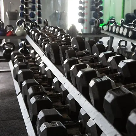 Grizedale * Windermere